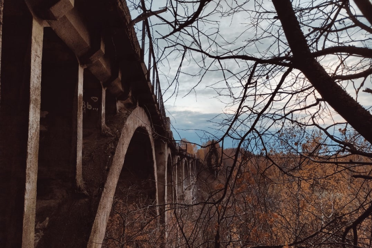 Фото: vk.com/vikiperm