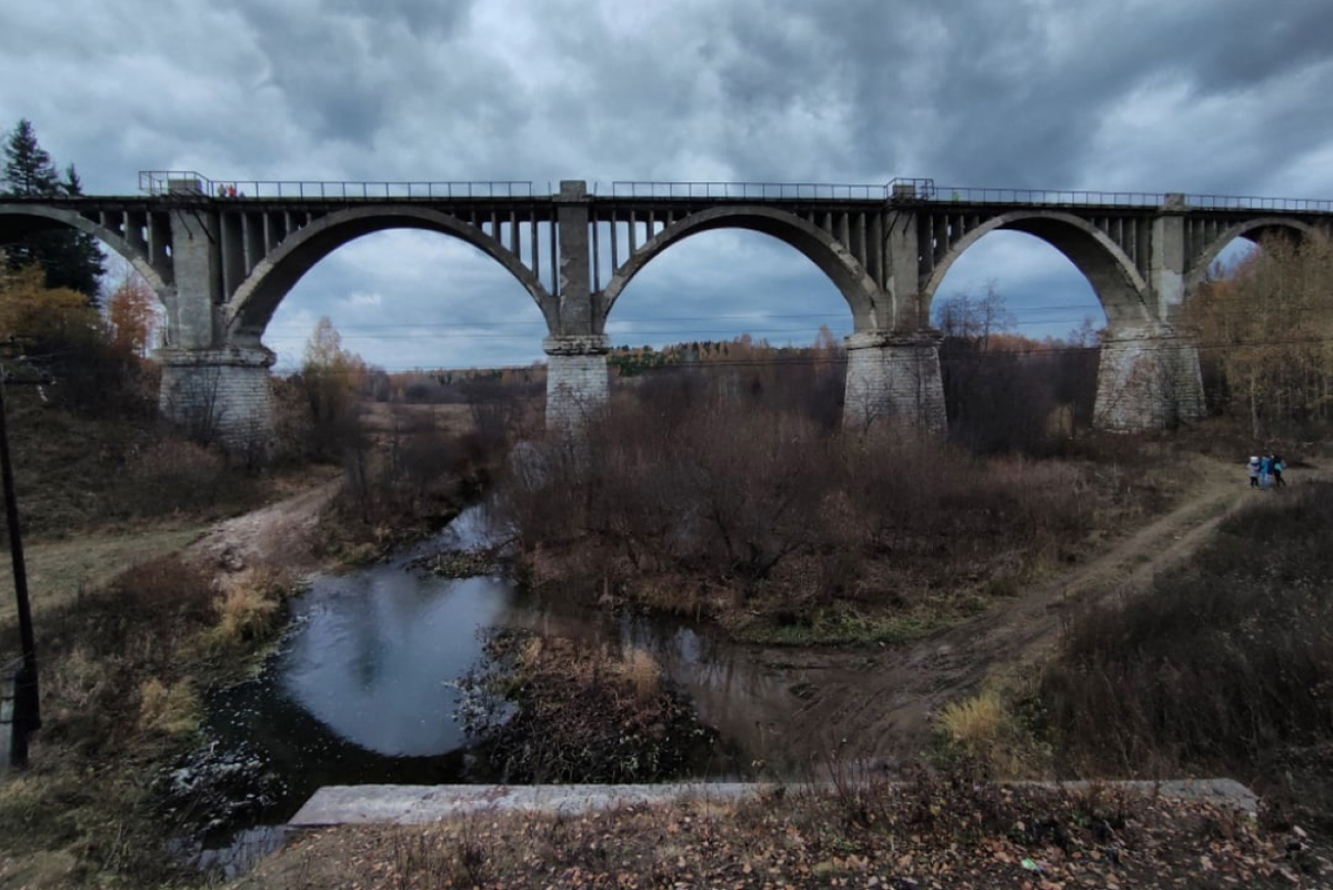 Фото: vk.com/vikiperm