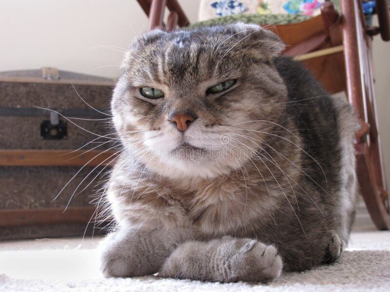 Фото взято из Интернета