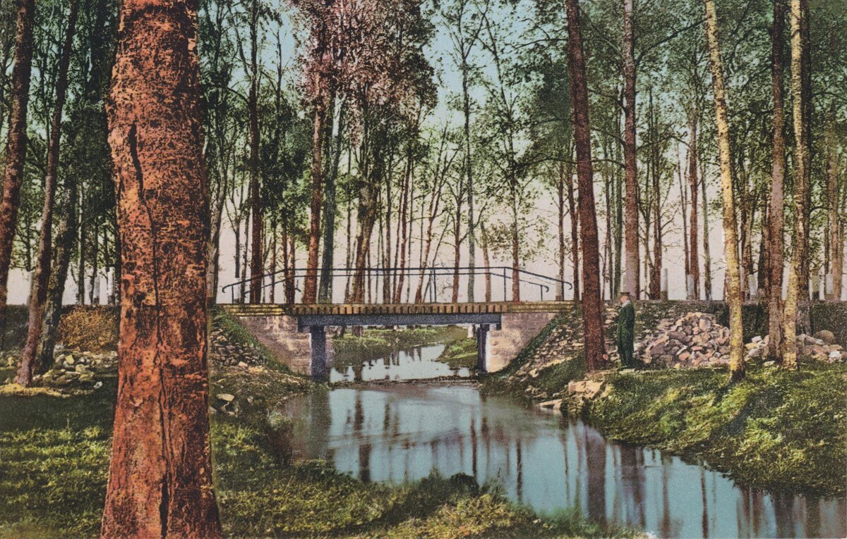 Мотив из Оберпалена. Лифляндия. Открытка из моей коллекции (листать вправо).