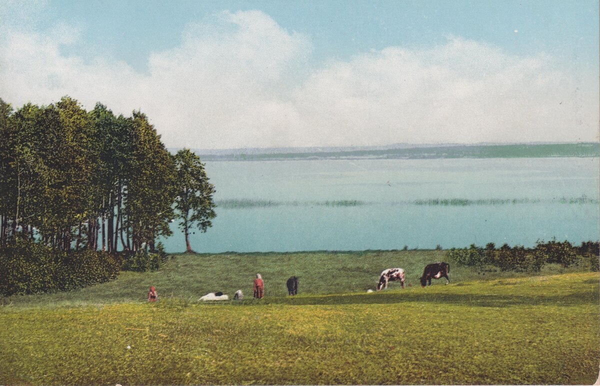 Лифляндия. Озеро Вагула. Открытка из моей коллекции (листать вправо).