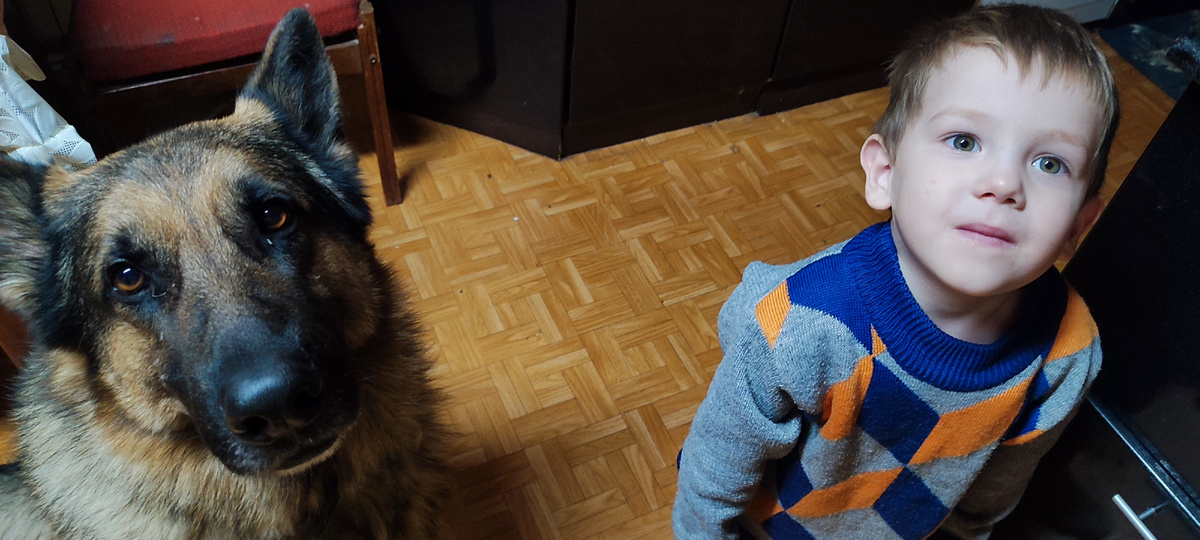 Спокойно и дружно сосуществуют.. 