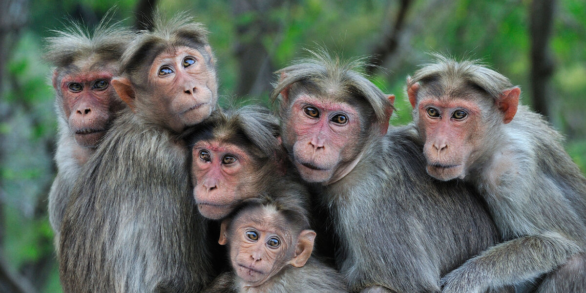 Фото из Интернета.