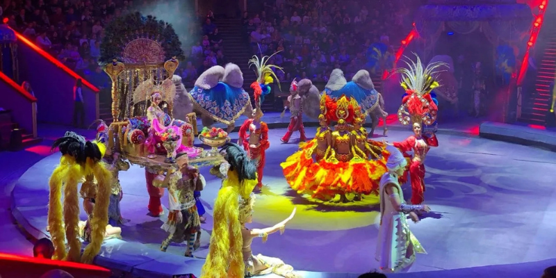 Новогодние представления в цирке на Вернадского