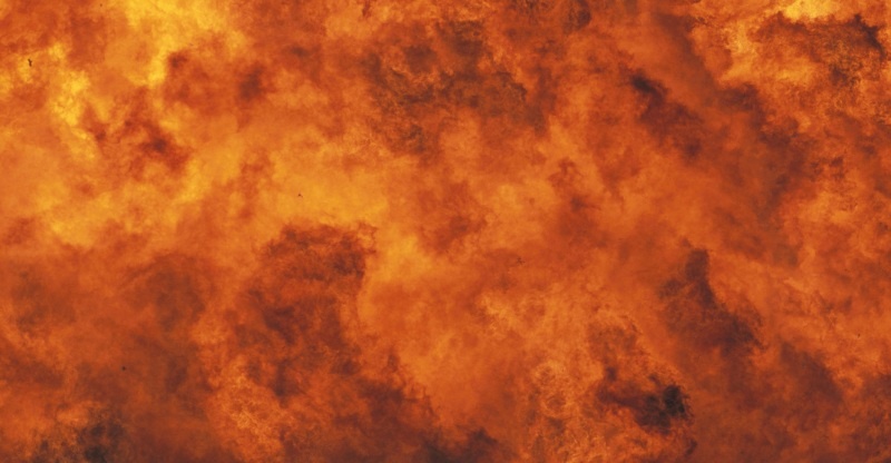    Фото: Arco Images/LaTerraMagica/Globallookpress