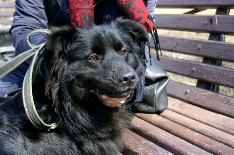   Екатерина Логачева