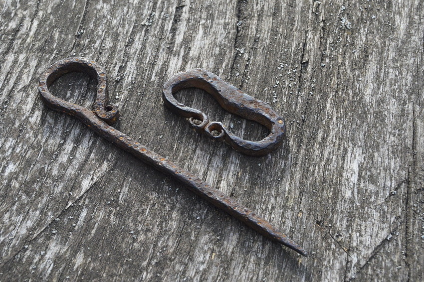    Фото: Заповедник "Брянский лес"