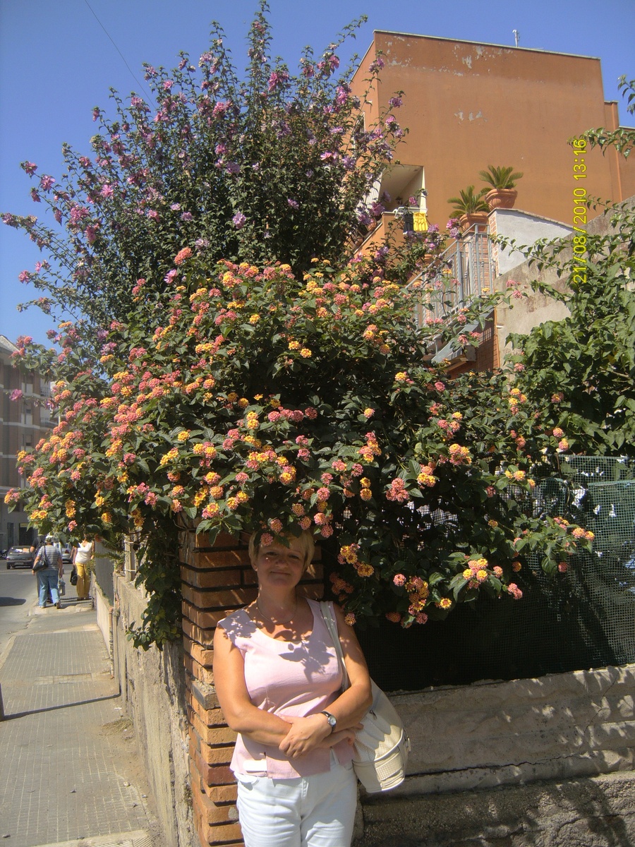 Италия. Курортный город Неттуно. 2010 год