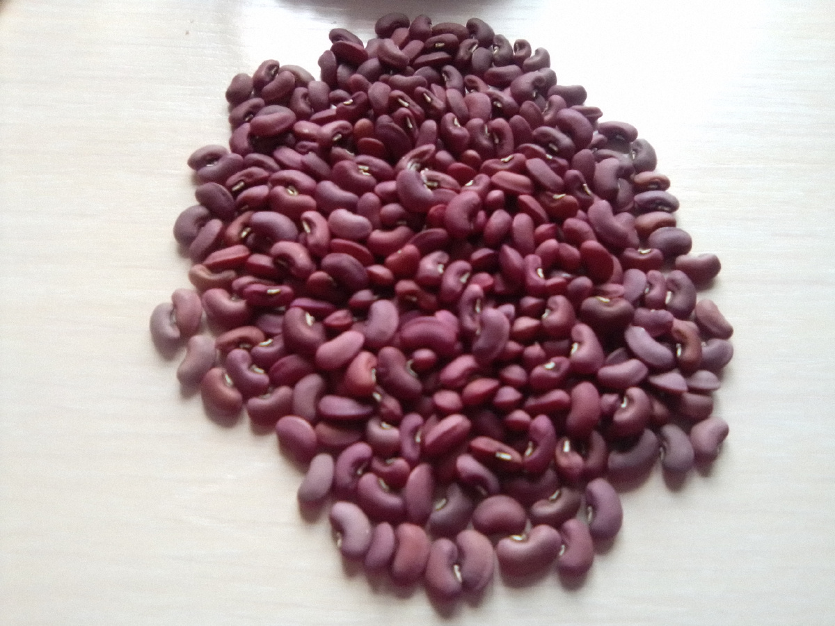 На семена только отборные зерна. Личное фото.