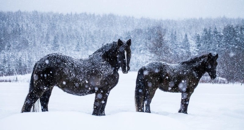 Фото: @aetbvideo / freepik.com