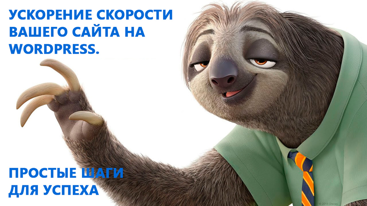 Ускорение скорости загрузки вашего сайта на WordPress