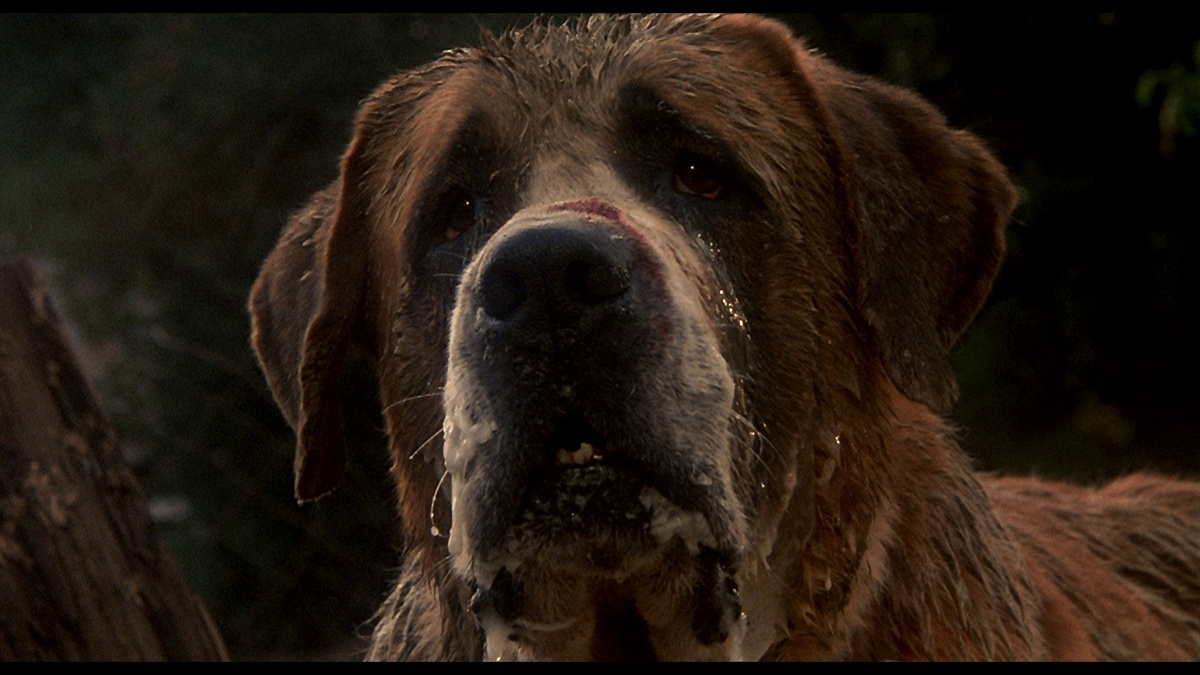 Кадр из фильма