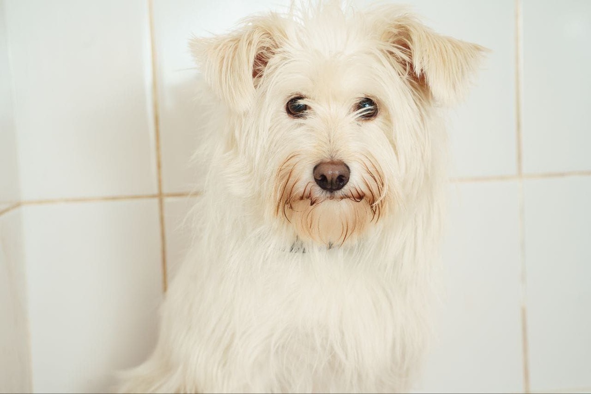 Вот такая Дафни милая и добродушная!