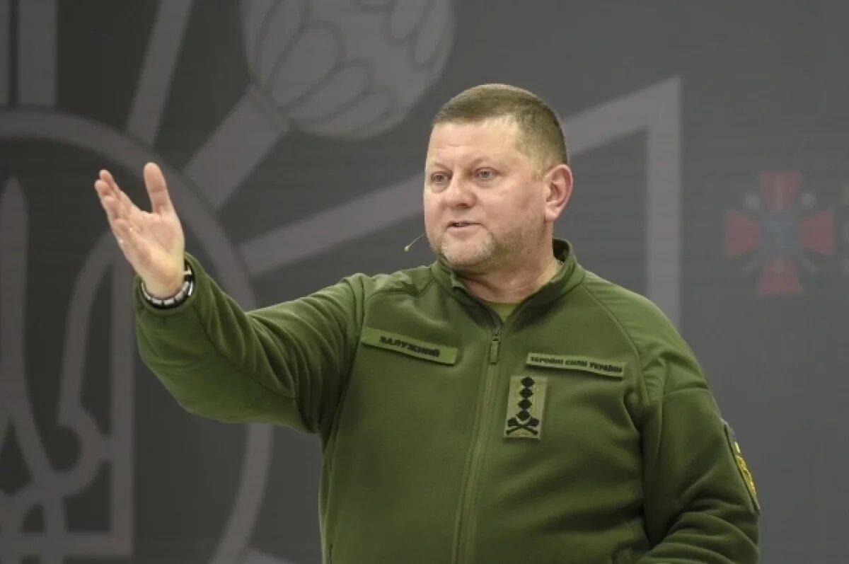    Валерий Залужный.