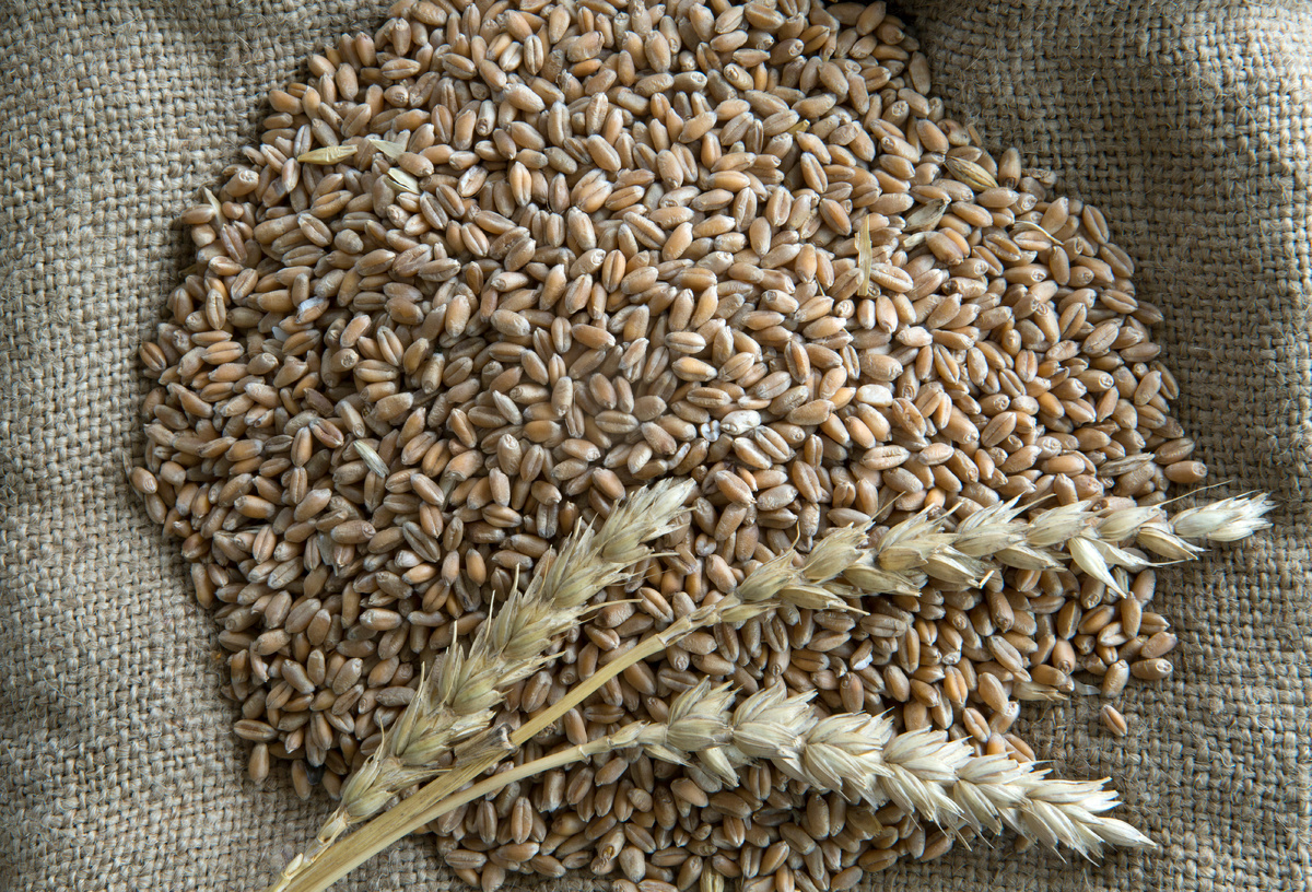 Nikolay Gyngazov/Global Look Press