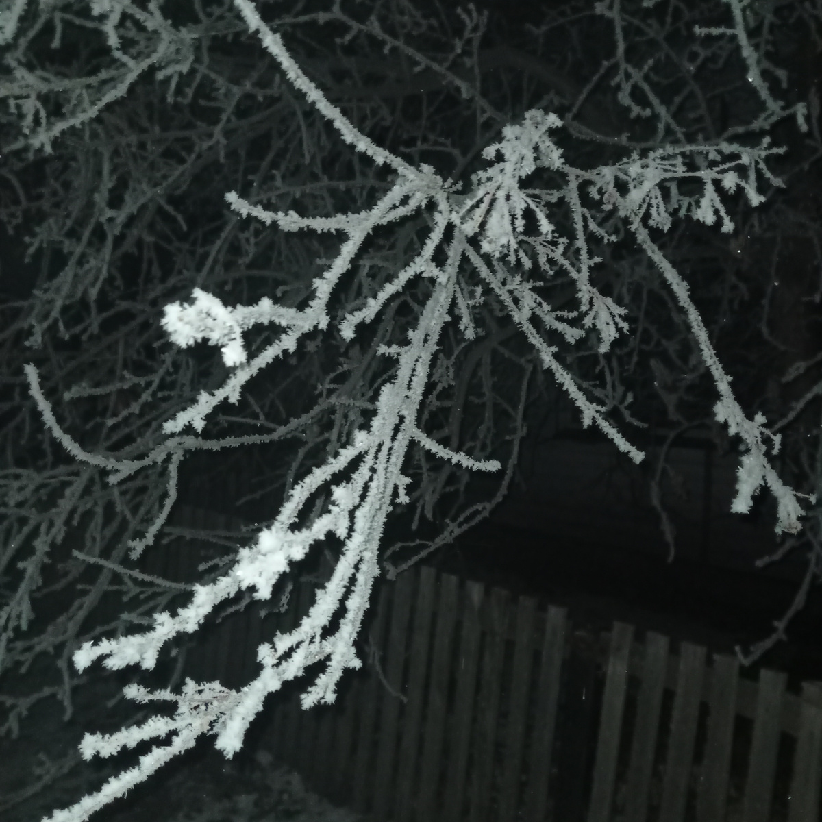 Вышла из дома а тут такая красота (пошла на остановку уехать на работу время 06.45) 