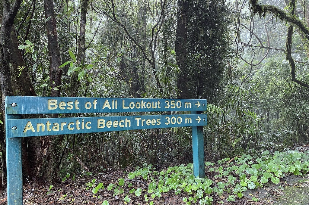 Указатель у Бэст-оф-ол-лукаут, здесь и далее фото из домашнего архива