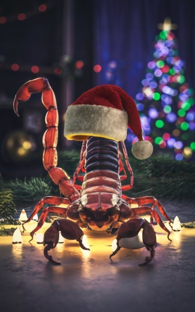 Картинка из свободного доступа 