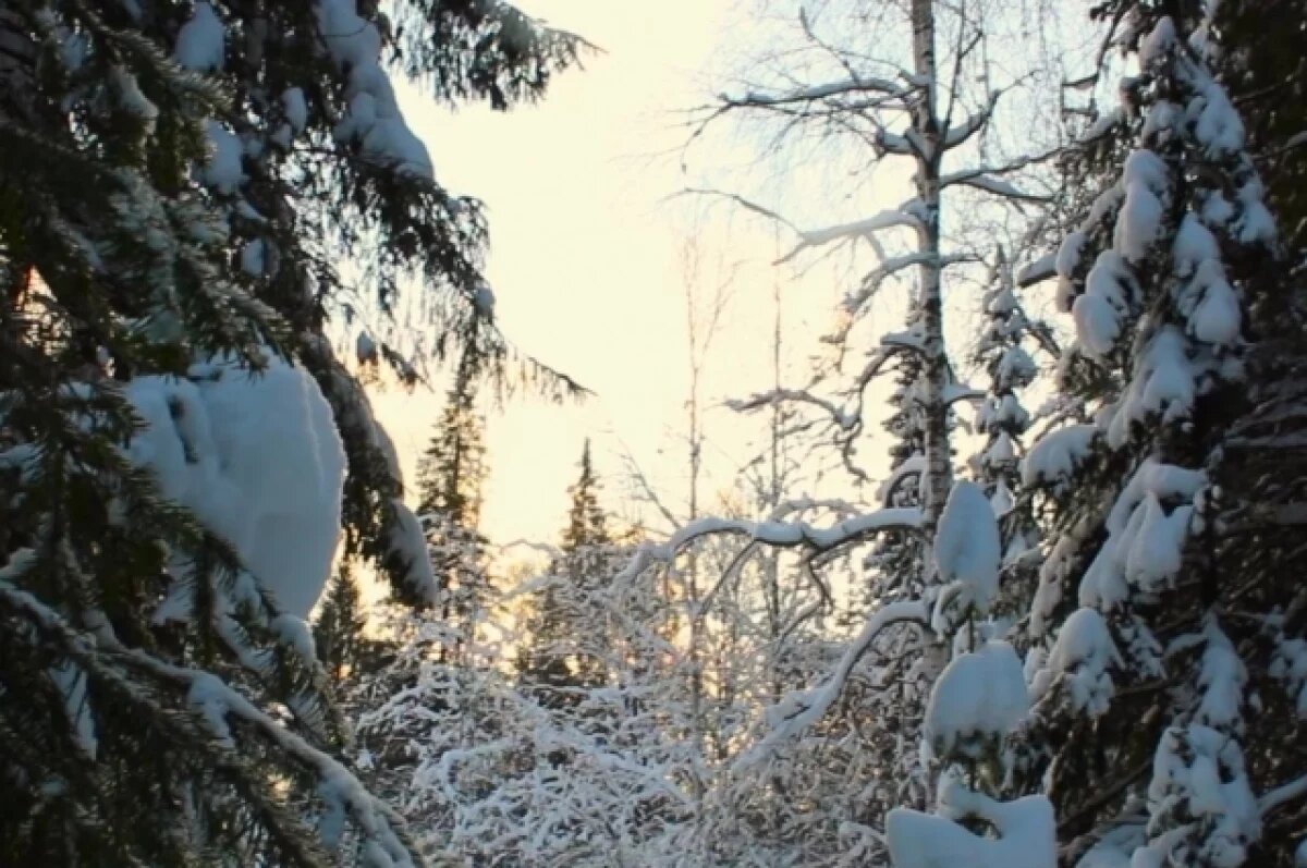    В последнюю неделю ноября в Башкирии снег так и не выпадет