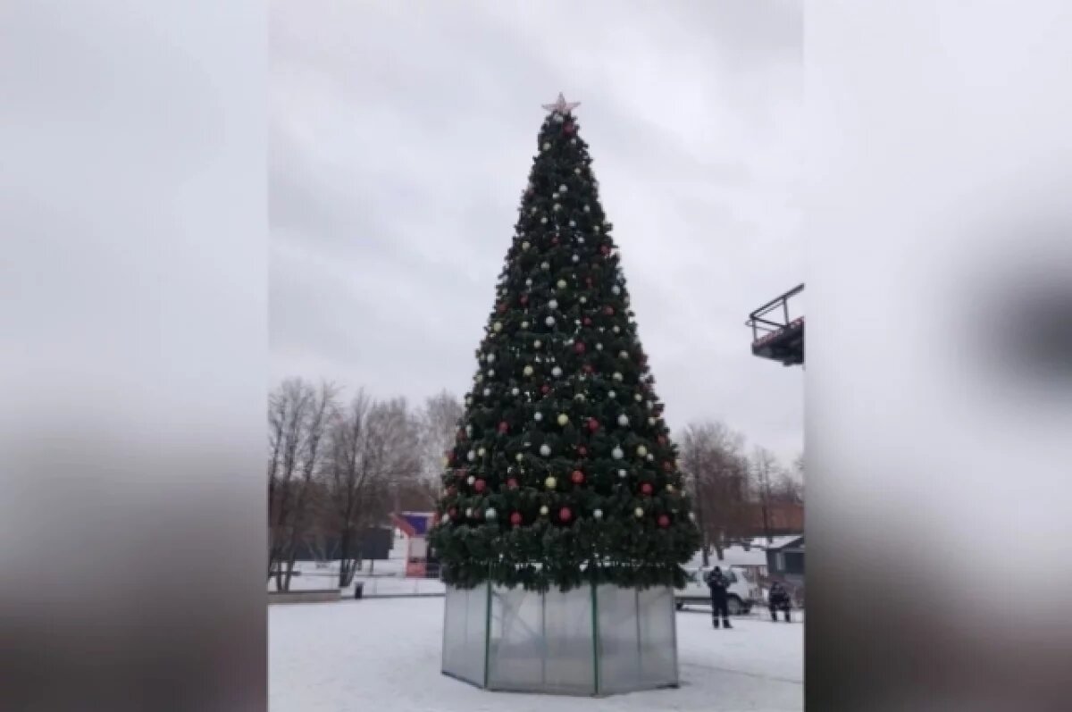    Новогодние красавицы засияют в Новосибирске в начале декабря