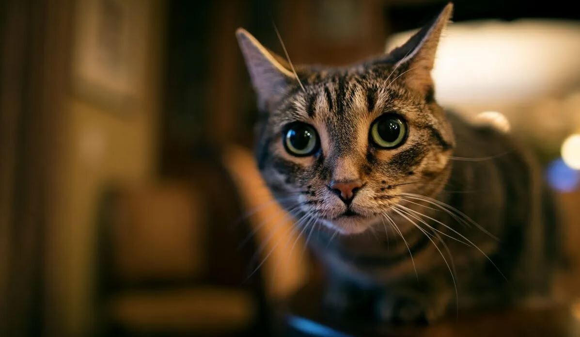 Источник: Яндекс картинки