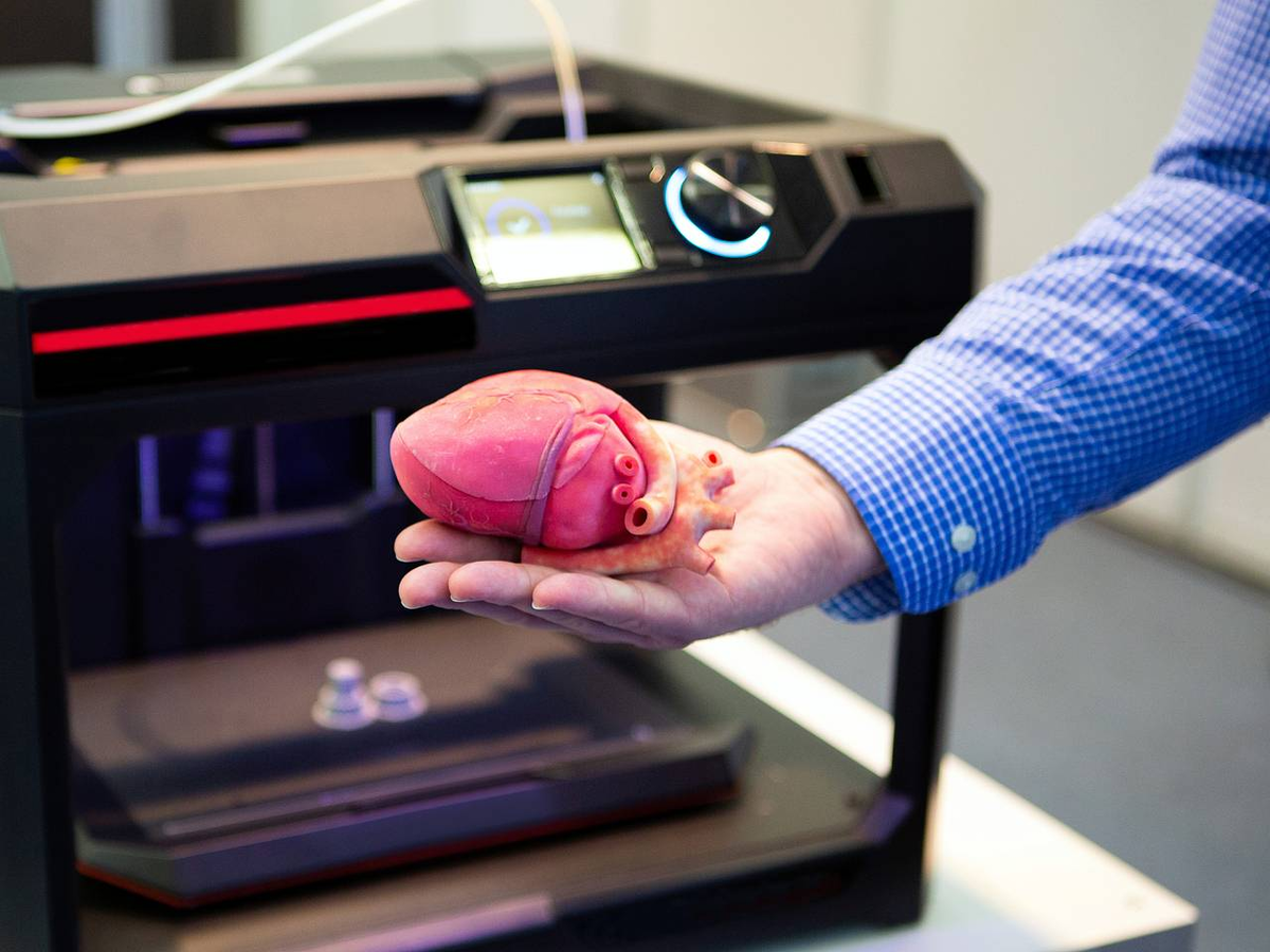 Фото из интернета