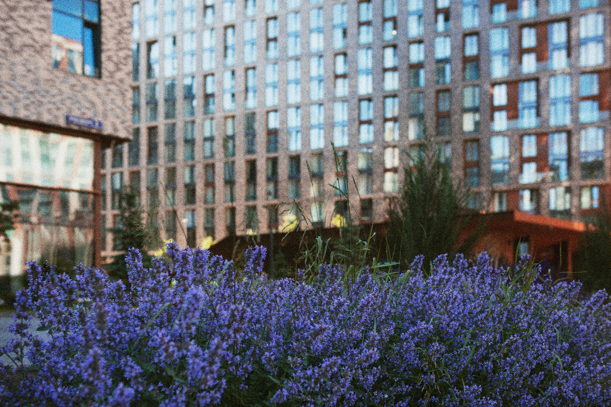 Изображение с freepik