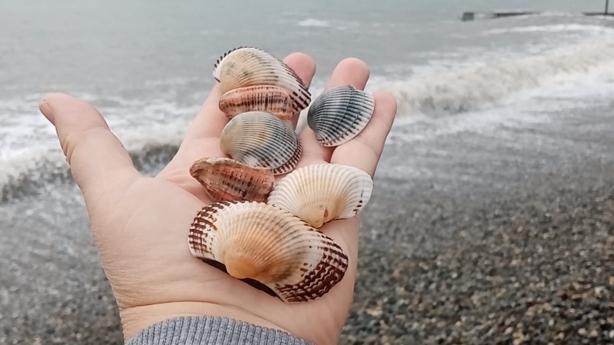 Пляж Курортного городка