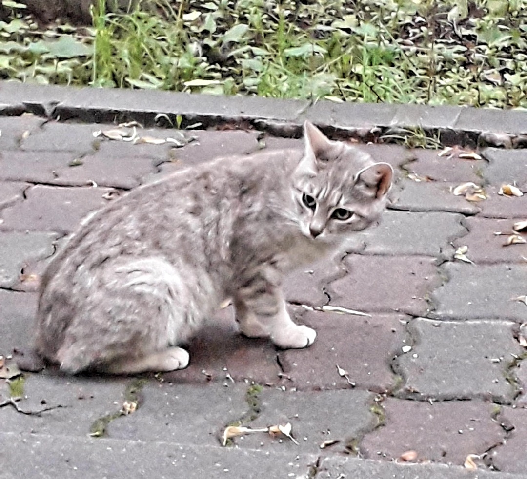 Фото автора