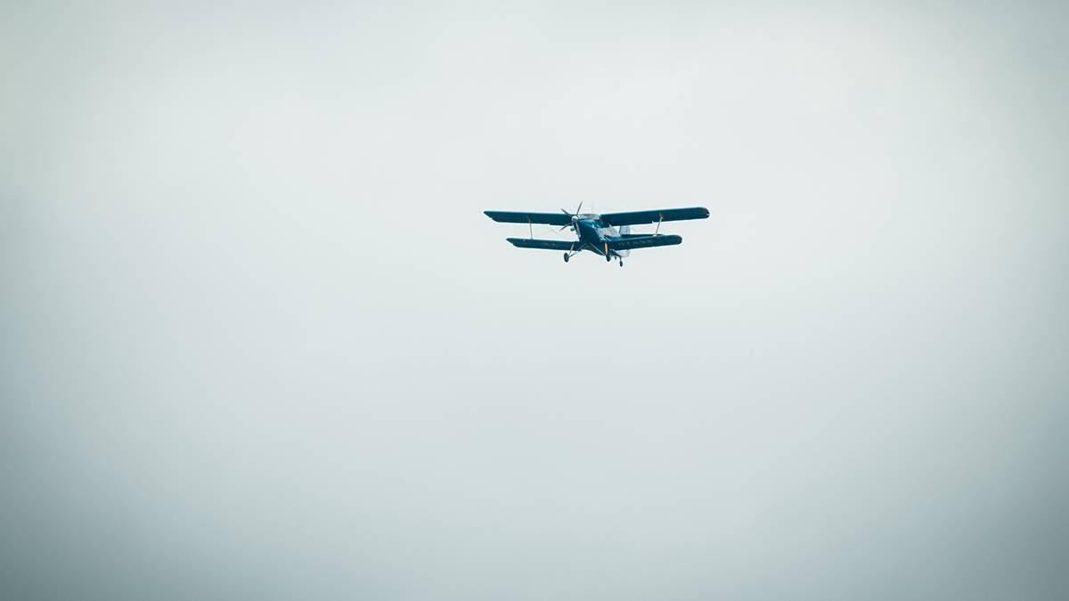    Фото: Shutterstock