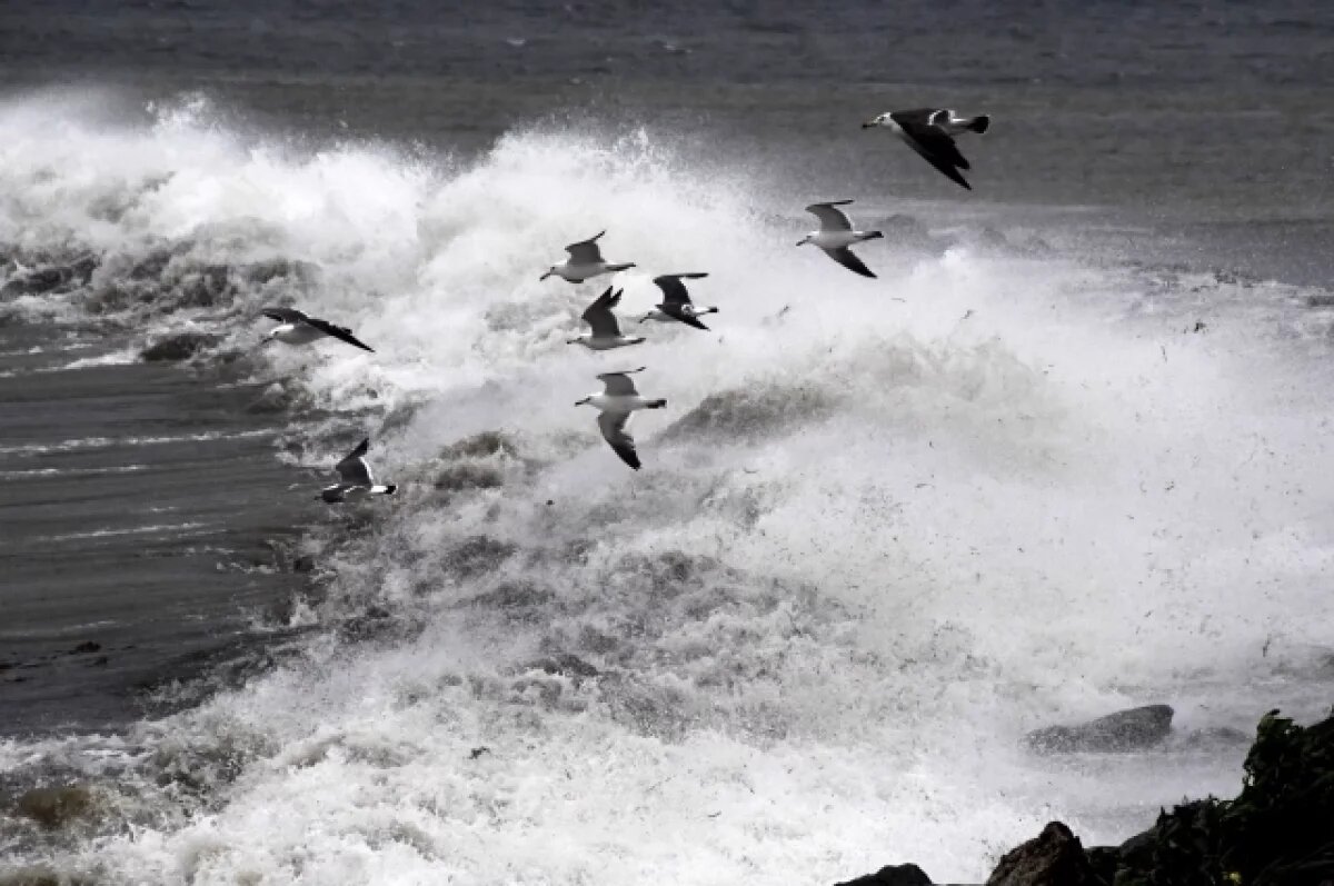    В Приморье на берег выбросило рыболовецкое судно