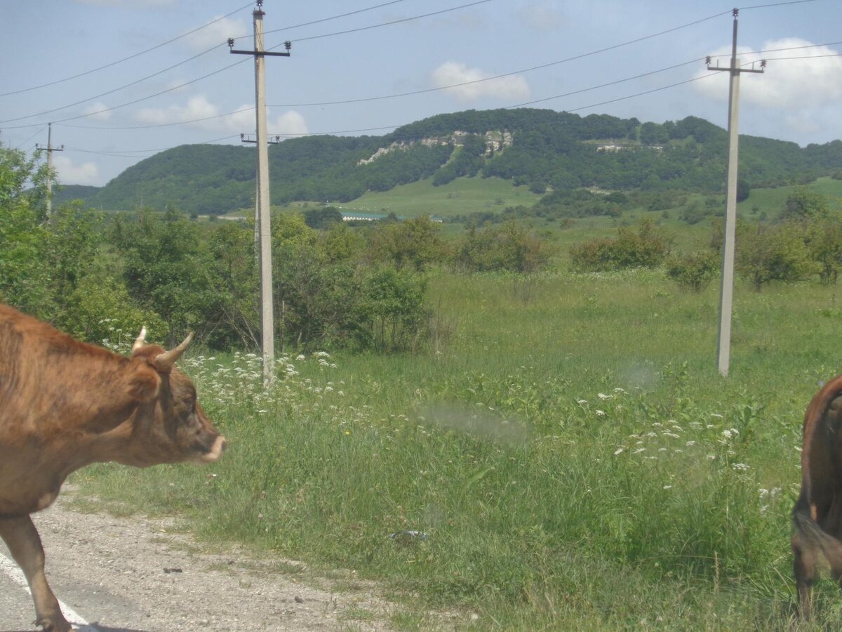 фото автора. Окрестности Ахметовской