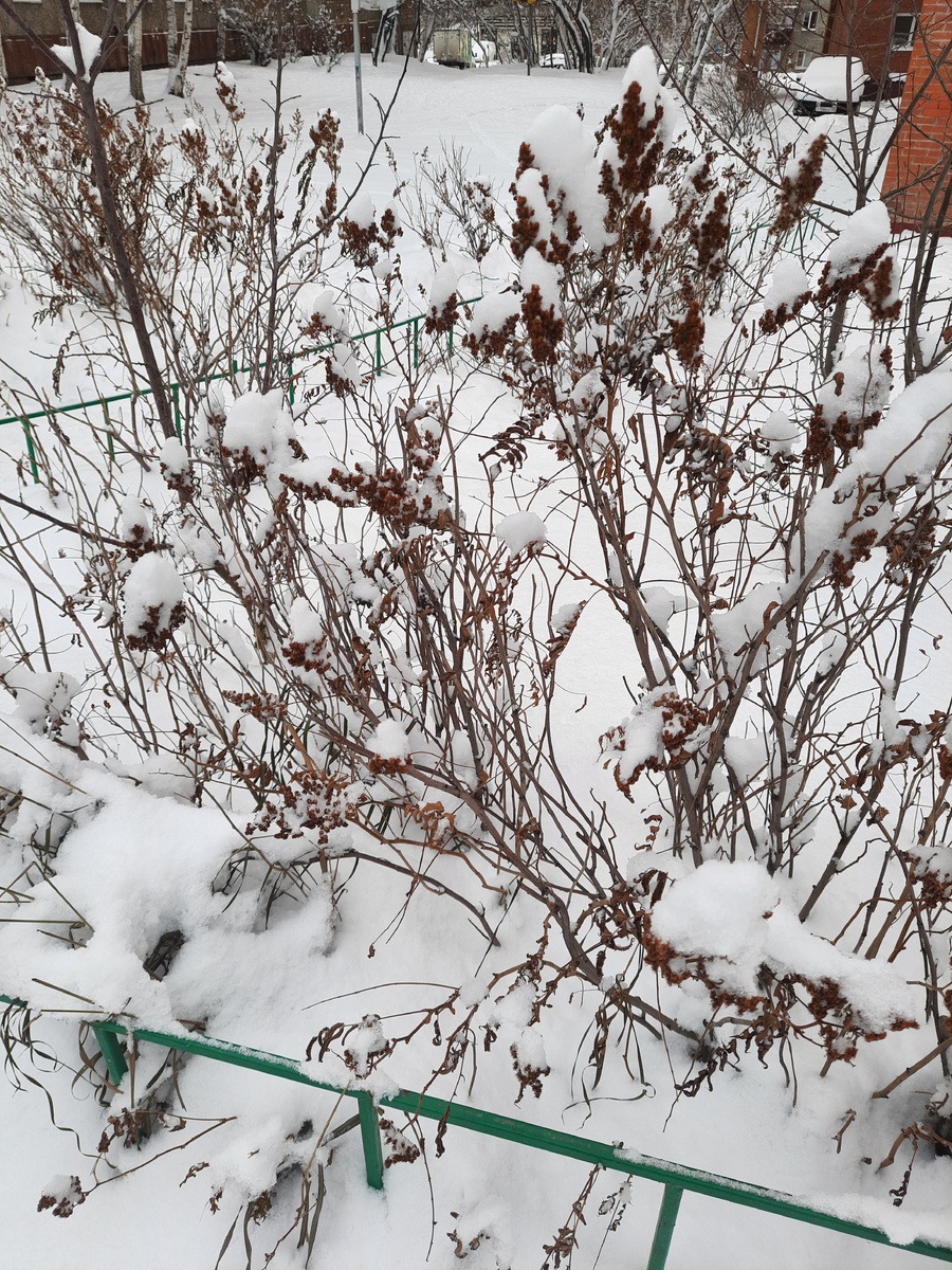 Фото автора.