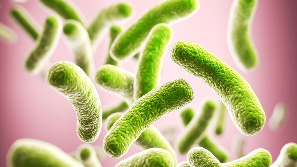 Иллюстрация: endosan.com