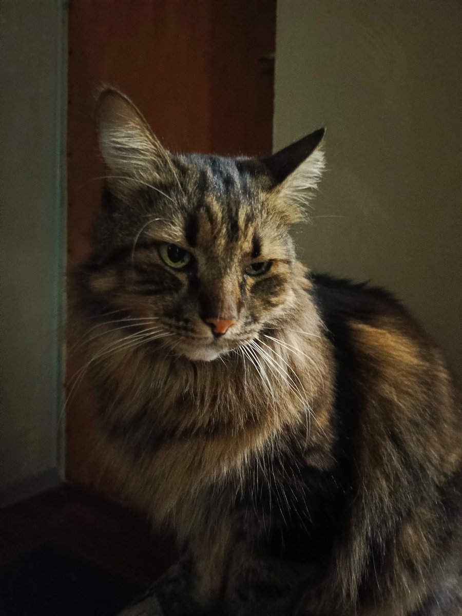 Хозяйка достала уже.