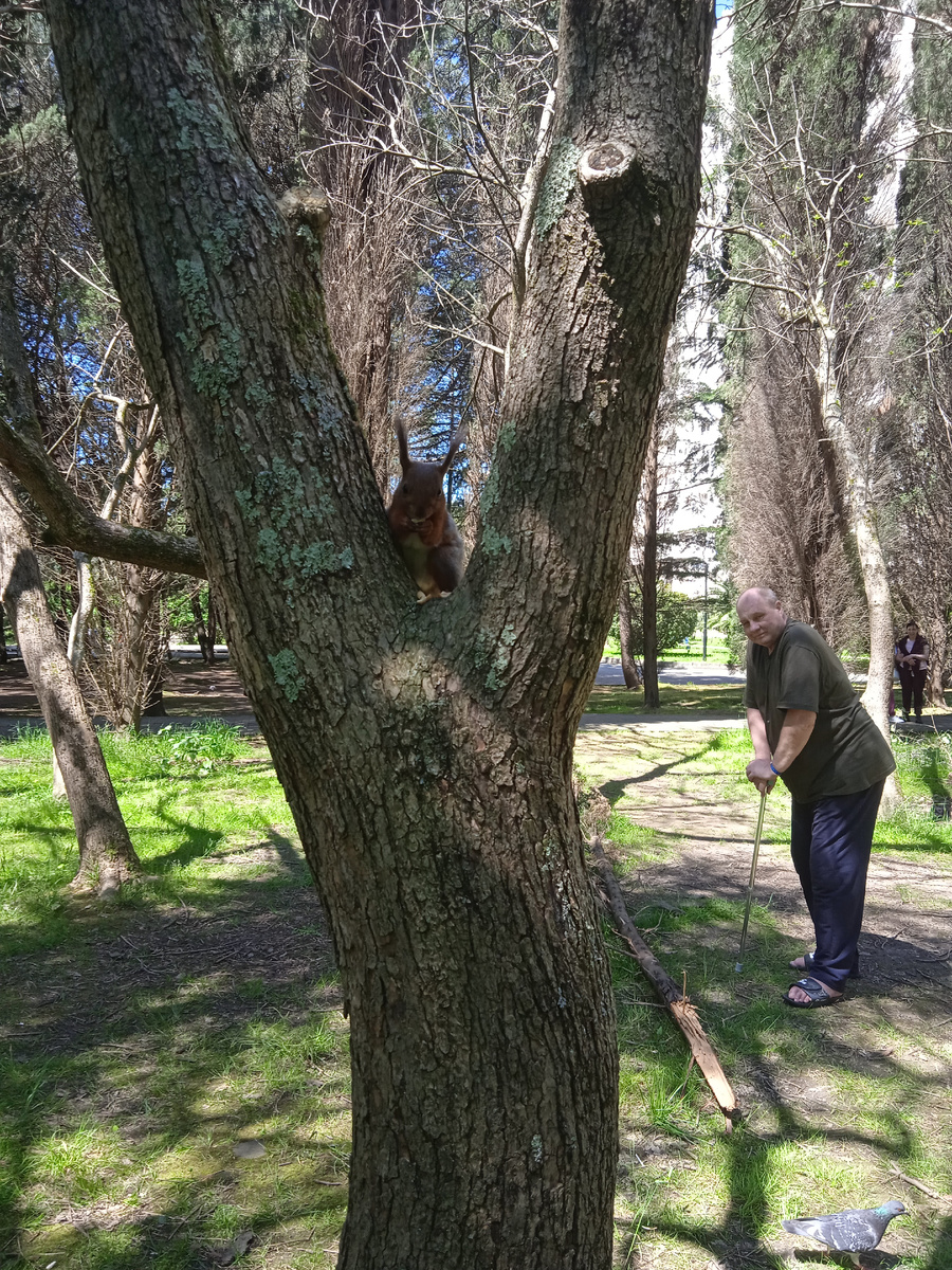 Фото автора. Санаторий "Адлеркурорт"