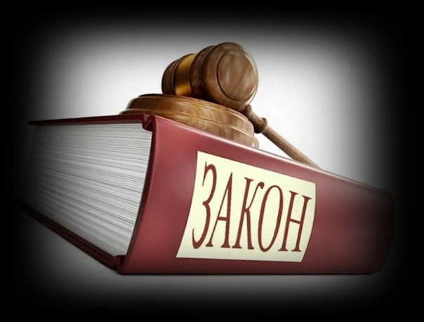 Фото из интернета.