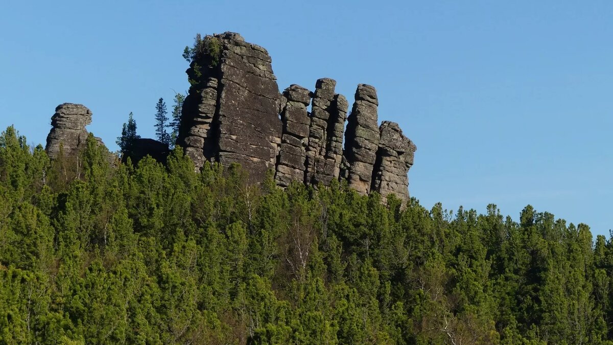     Источник: vk.com/mamontpark