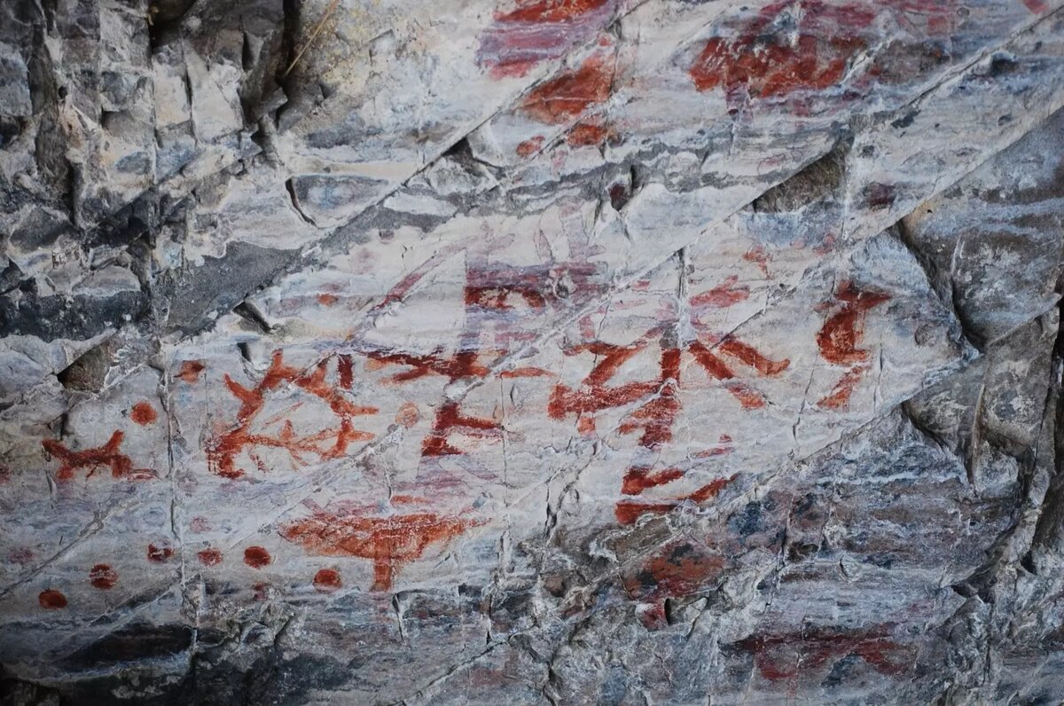     Источник: vk.com/mamontpark