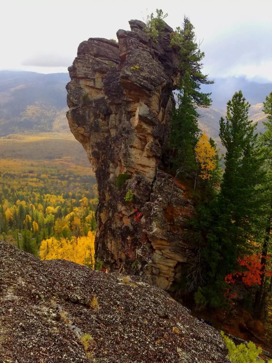     Источник: vk.com/mamontpark