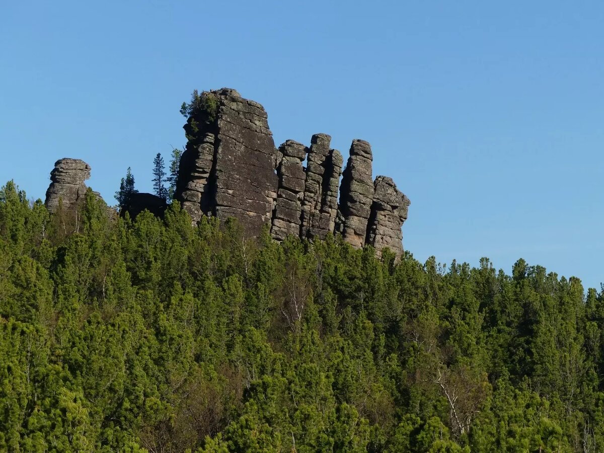     Источник: vk.com/mamontpark