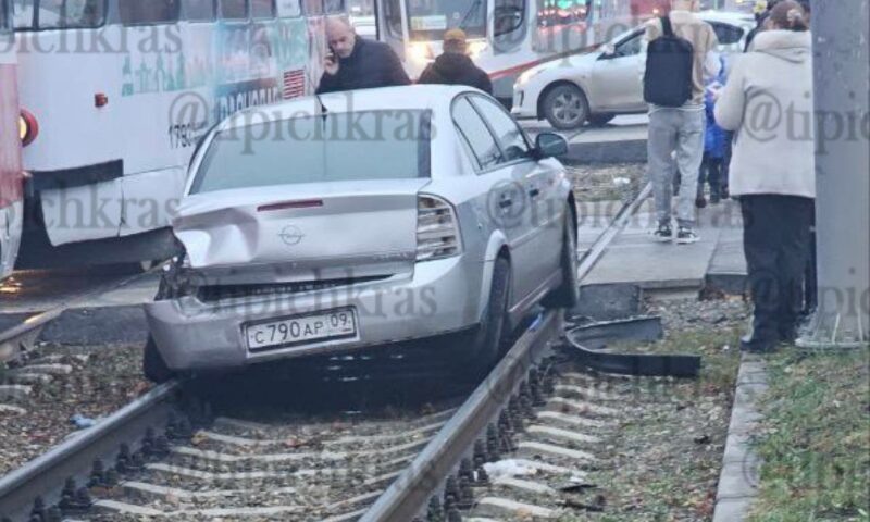    Фото t.me/tipichkras