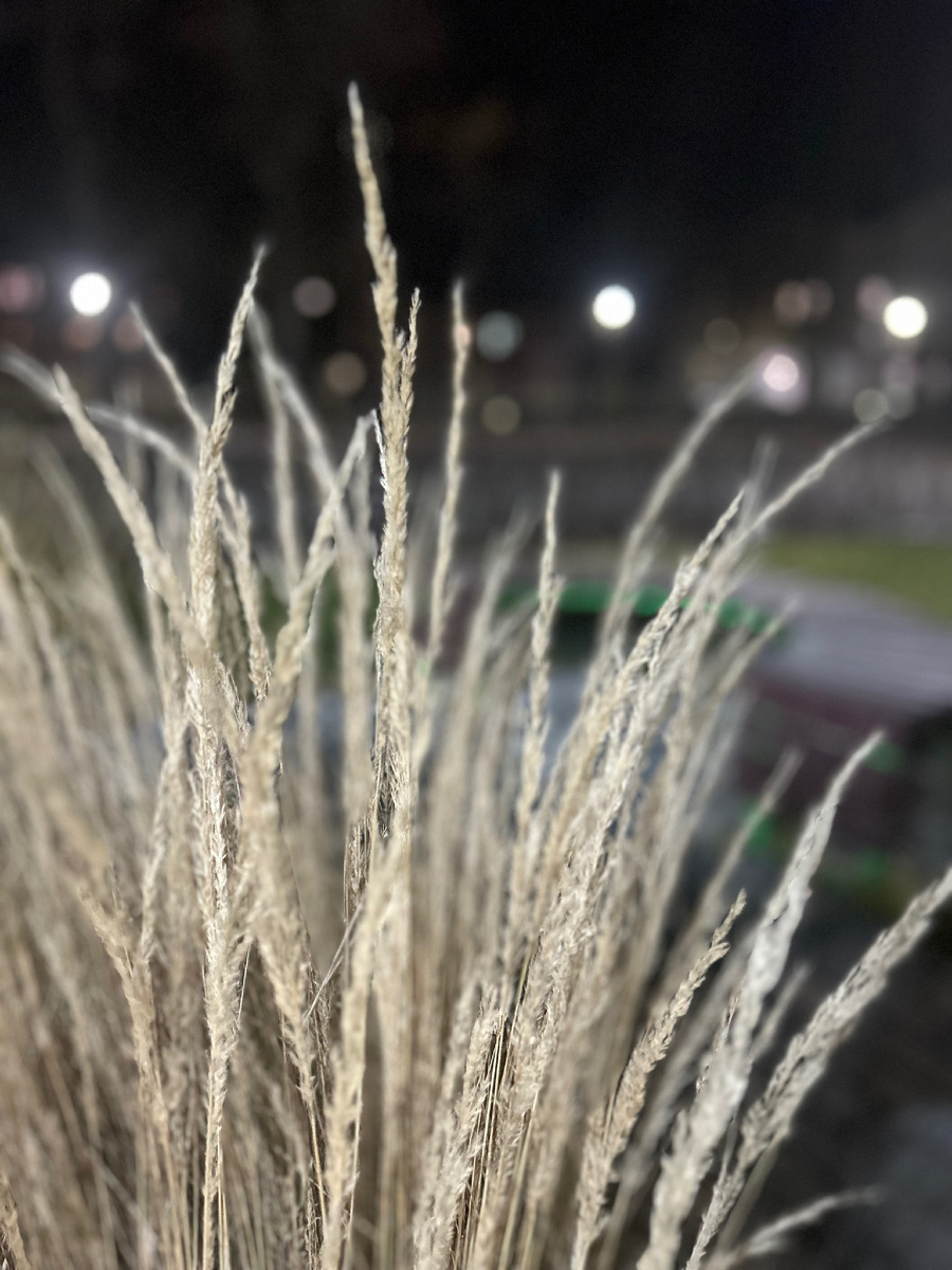 Фотография автора канала.