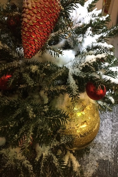 С Новым годом! Фото А.Троилиной