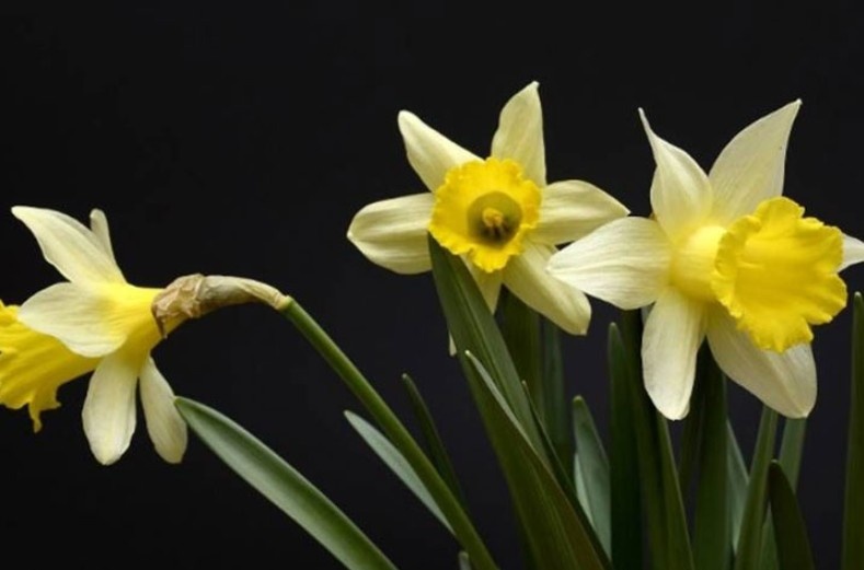 Стоп-кадр видео
