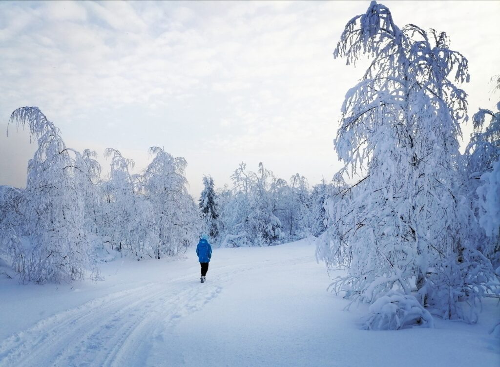    Фото Ульяны Бажановой Ульяна Бажанова