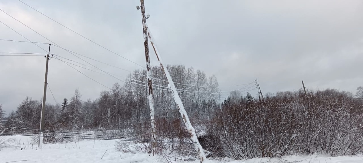    ЛЭП в Приладожье. Фото: страница Виктора Россыпнова в соцсети
