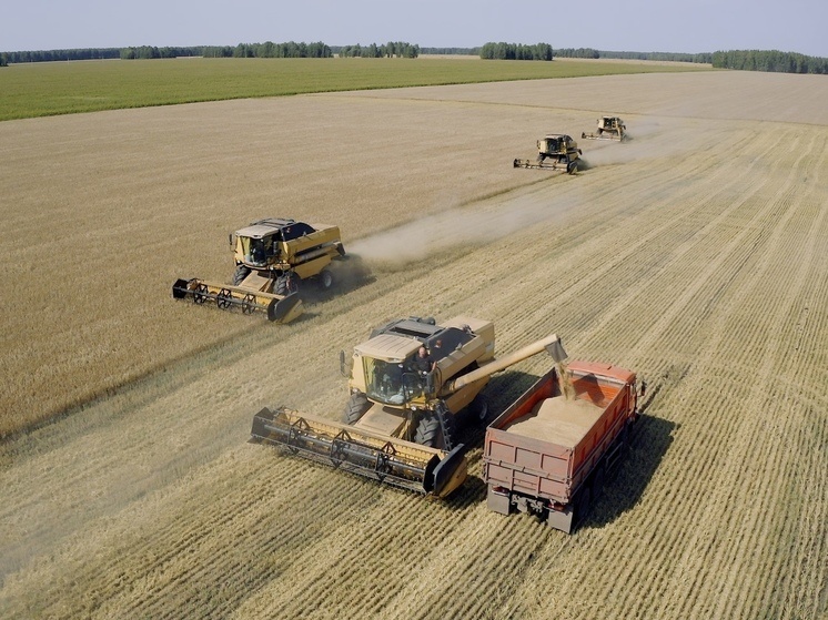     В этом году тюменские аграрии установили новые рекорды. информационный центр правительства Тюменской области.