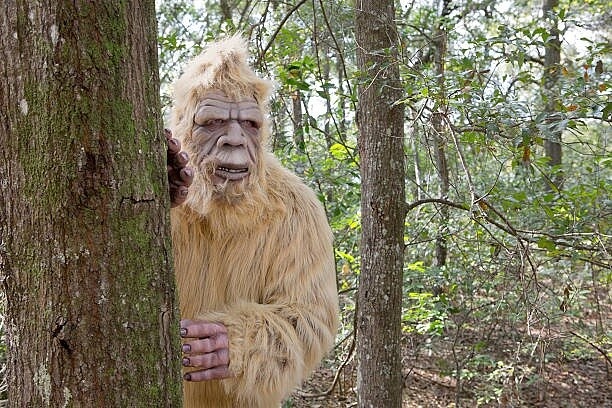 Фото из Яндекса 