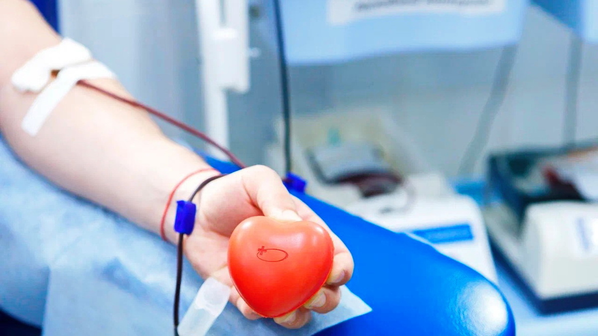    Югорчан приглашают поучаствовать в неделе «IT-донора»